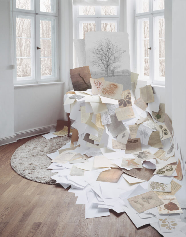 Anett Stuth Fotografie BLAETTER Aus der Serie Natur als Bild | 2009