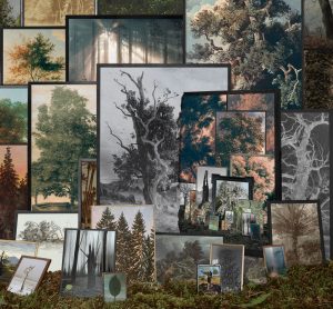 BILDERWALD / FOREST OF IMAGEs