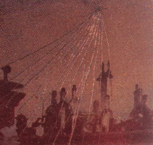 KNOSPEN UND BLUETEN | 2010 | Detail