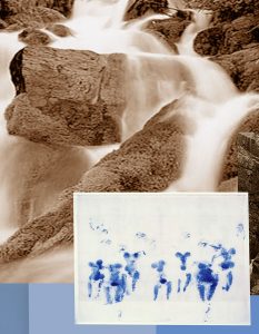 WASSERFALL | 2010 | Detail