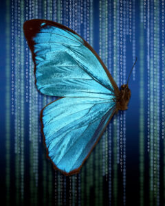 Anett Stuth - Haus am Kleistpark